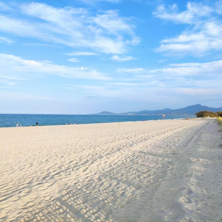 Les Capitelles 5 - Acces Direct A La Plage Depuis Le Jardin - T2 Avec Cabine - 6 Pers - Jardin - Piscine - Parking Saint-Cyprien  Ngoại thất bức ảnh